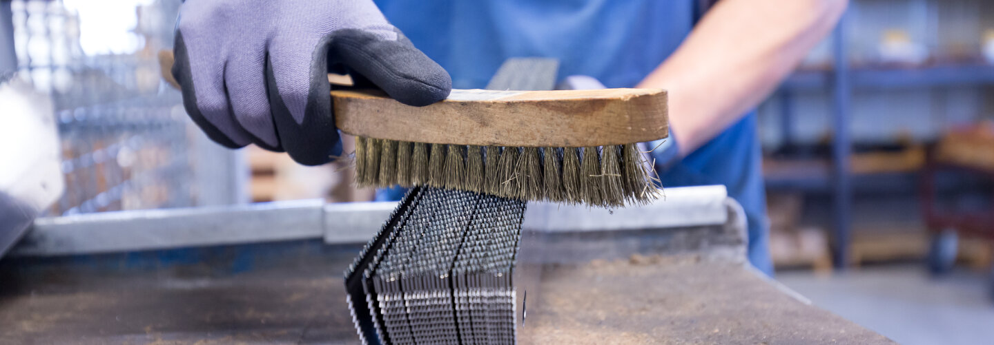 Produktion Imagepool | Augusta-Heckenrose - Industrie Fotografie
