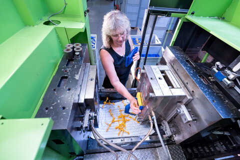Produktion Imagepool | Augusta-Heckenrose - Industrie Fotografie