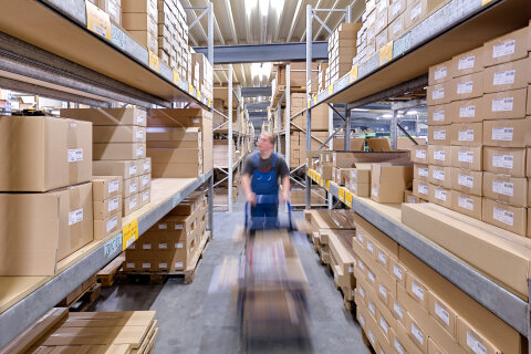 Produktion Imagepool | Augusta-Heckenrose - Industrie Fotografie